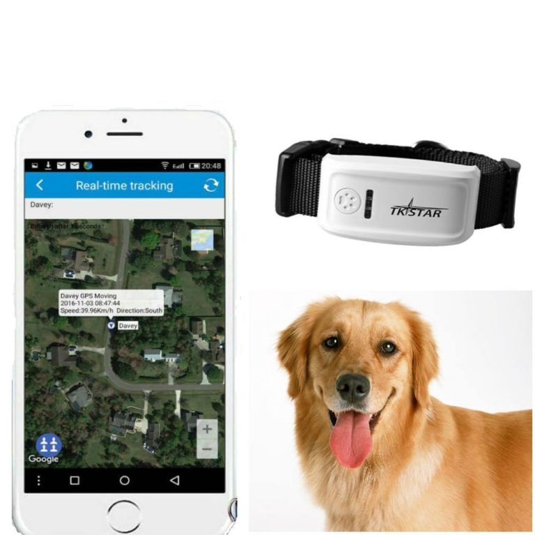 GPSSender für Hunde GPS Tracker zur Hundeortung im Test 2021